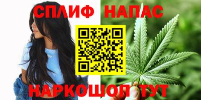 Альфа ПВП Пыть-Ях