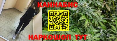 Альфа ПВП Пыть-Ях