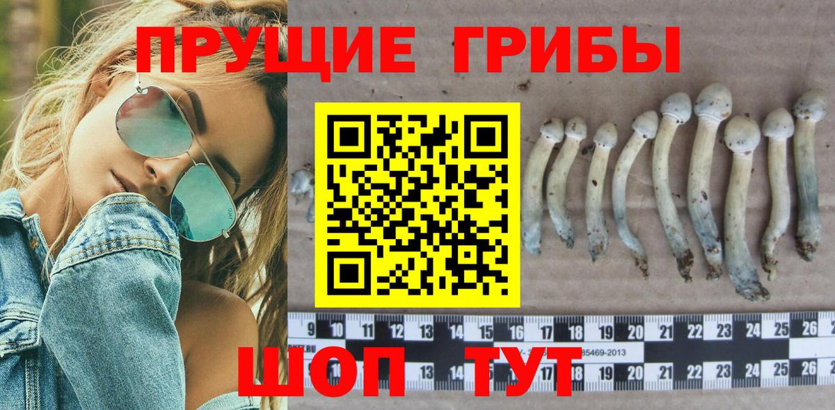 Орехово-Зуево  Псилоцибиновые грибы MAGIC MUSHROOMS  Вход с VPN  Псилоцибиновые грибы Cubensis 