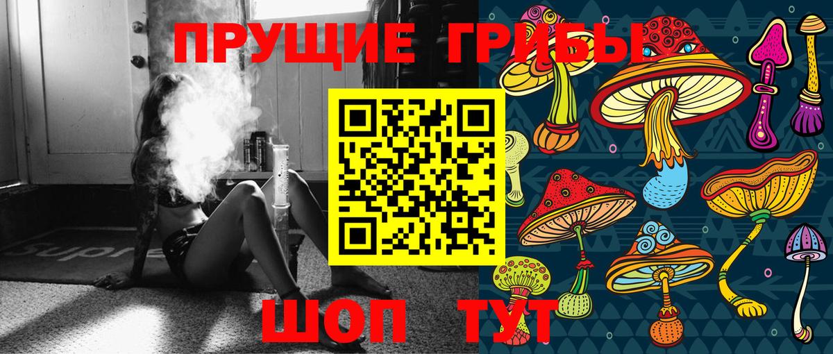 Псилоцибиновые грибы прущие грибы Орехово-Зуево